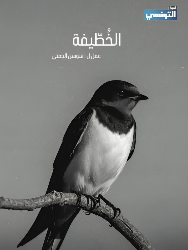 مسلسل الخطيفة